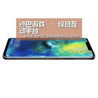 华为无线快充手机