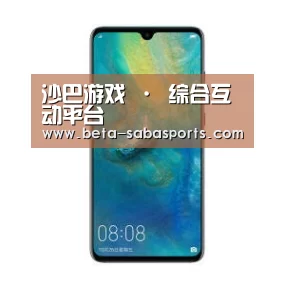 华为无线快充手机