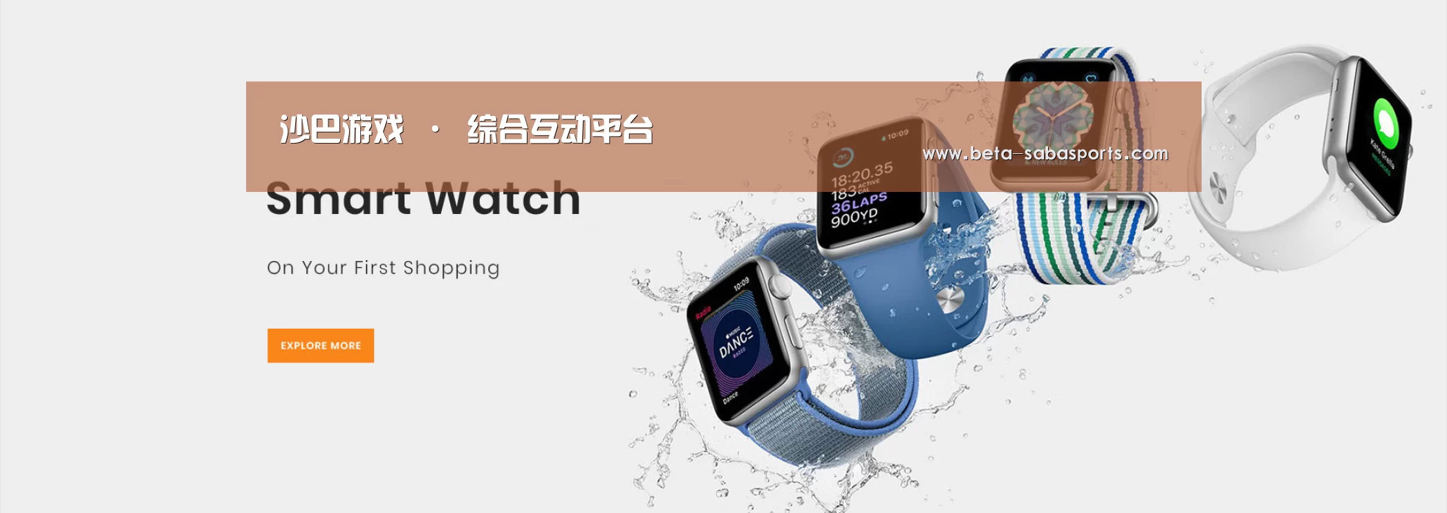 某某网络科技有限公司