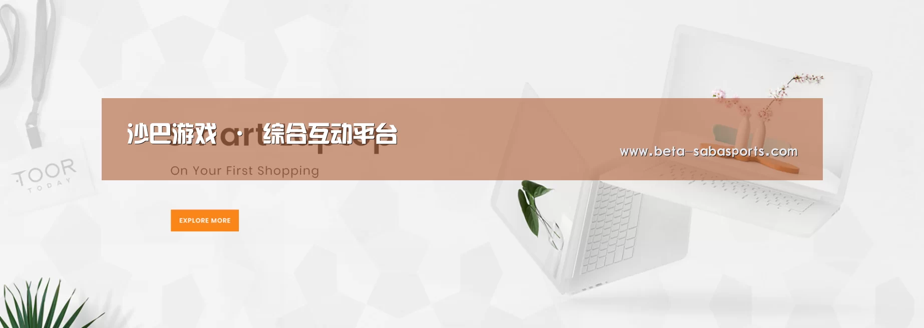 某某网络科技有限公司
