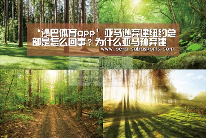 沙巴体育