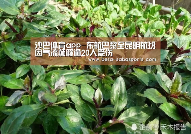 沙巴体育app-东航巴黎至昆明航班因气流颠簸逾20人受伤(图1) 沙巴娱乐