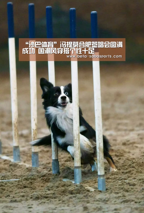 “沙巴体育”冯提莫合肥签唱会圆满成功 国潮风穿搭个性十足(图3) 沙巴体育