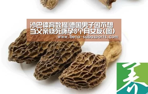 沙巴体育