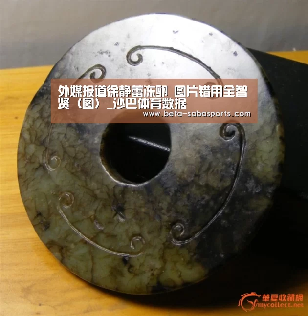 外媒报道徐静蕾冻卵 图片错用全智贤(图)_沙巴体育数据(图2) 沙巴娱乐